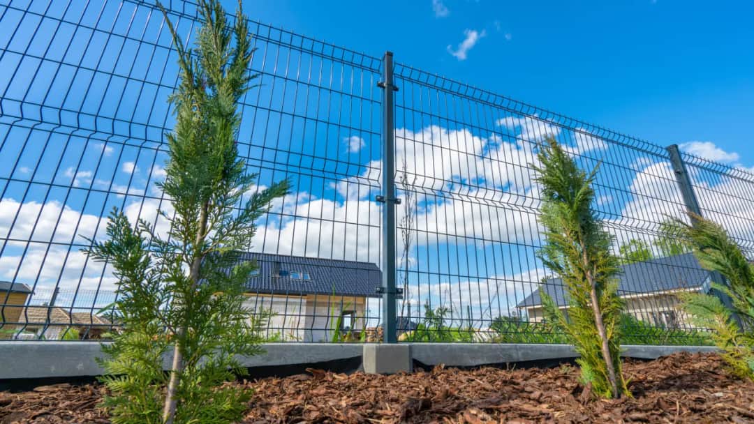 Ile od płotu sadzić tuje, aby uniknąć problemów z sąsiadami?