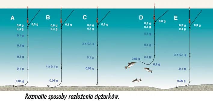Na jakiej głębokości łowić płocie, aby uniknąć nieudanych połowów?