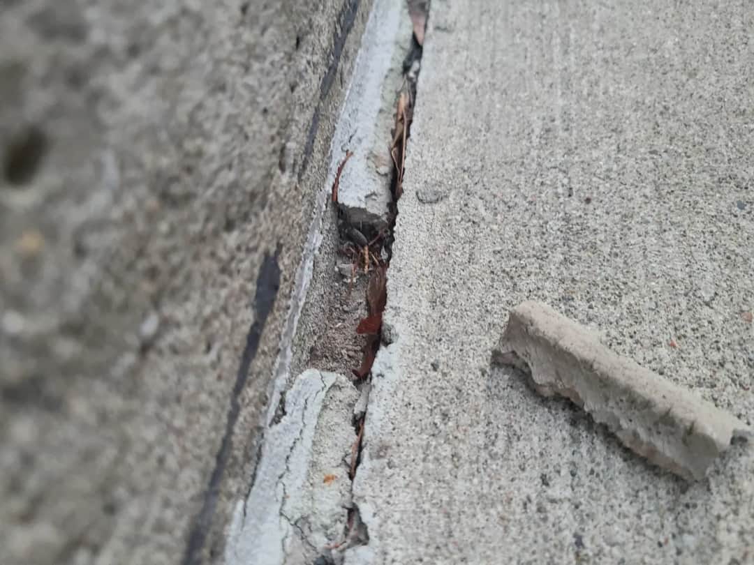 Czym wypełnić szczeliny w płocie betonowym, aby uniknąć problemów?