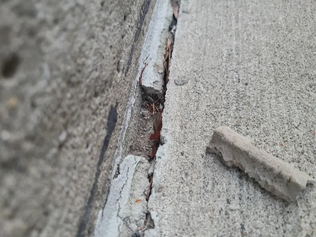 Czym wypełnić szczeliny w płocie betonowym, aby uniknąć problemów?