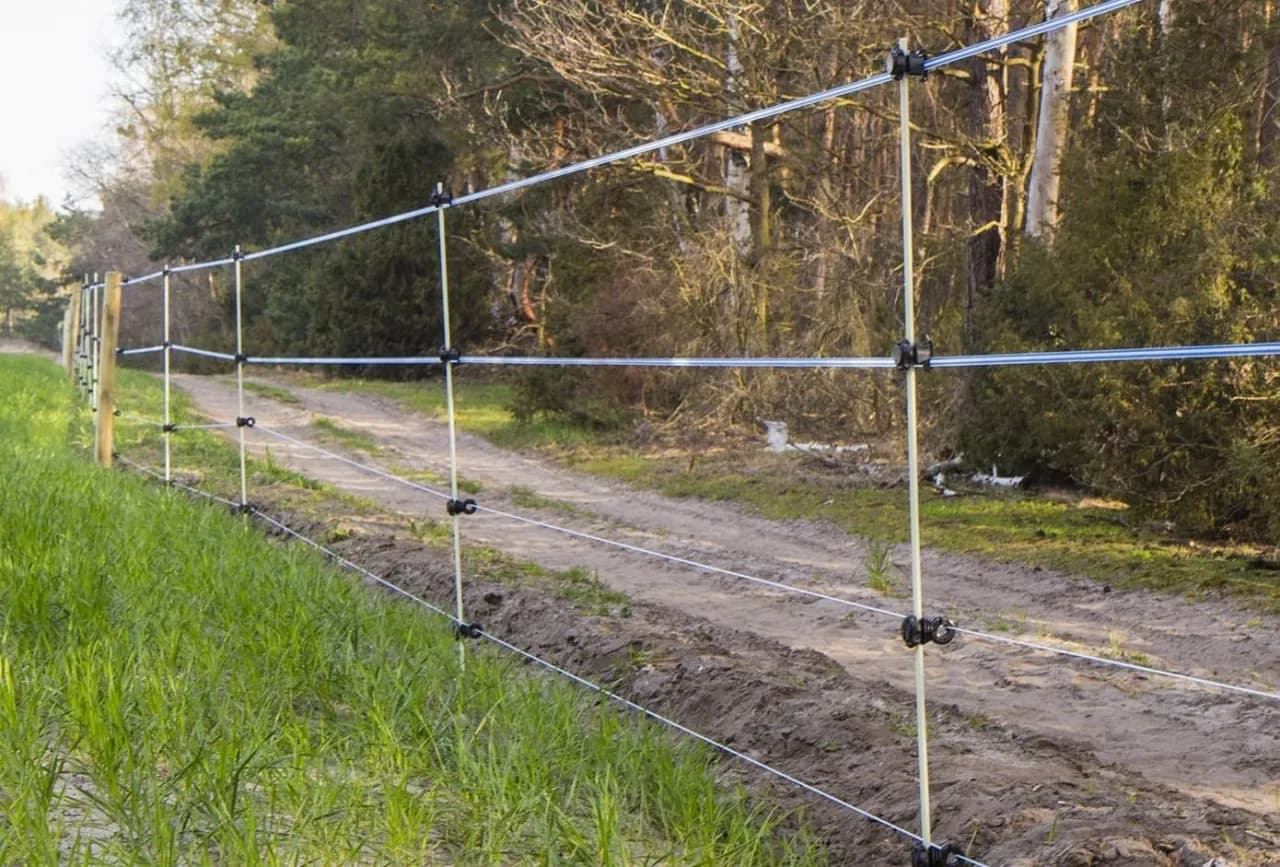 Jaki wysoki płot na sarny? Ochrona roślin przed szkodami