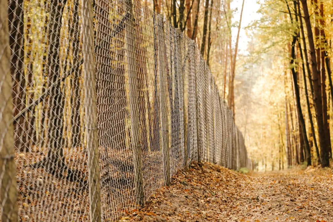 Ogrodzenie z siatki leśnej: jak prawidłowo rozstawić słupki?