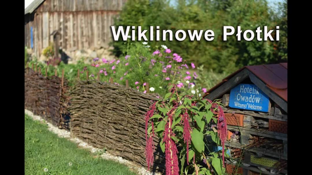 Jak zrobić płot z wikliny – proste kroki do pięknego ogrodzenia