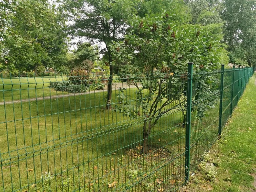 Ile kosztuje 100 m ogrodzenia panelowego? Zaskakujące ceny i opcje